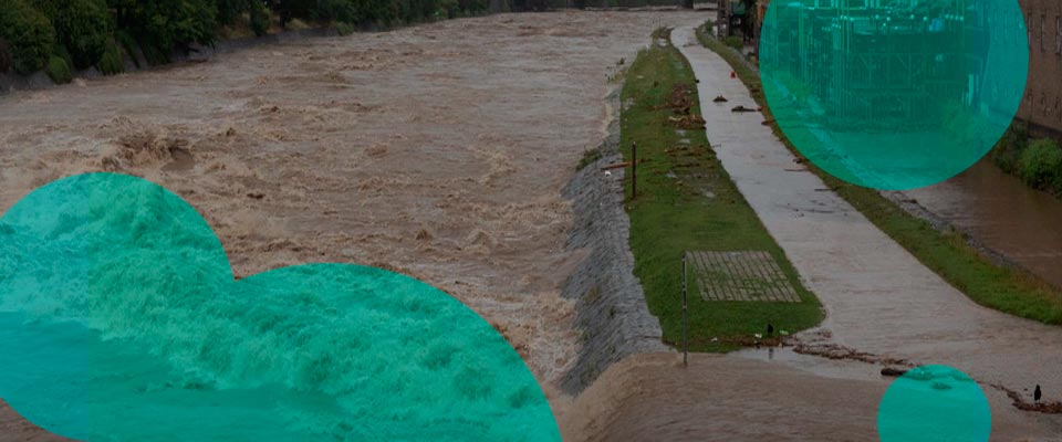 Several factors influence both the demand and supply of natural catastrophe insurance
