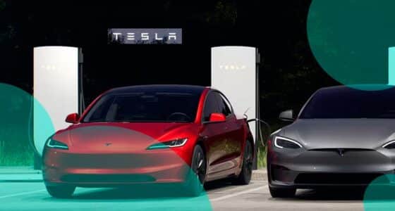 Tesla’s insurance carriers posted mixed results for Q3 2024