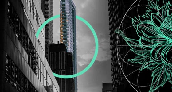 U.S. P&C Insurance Market: Continued Growth and Improved Underwriting Through 2026