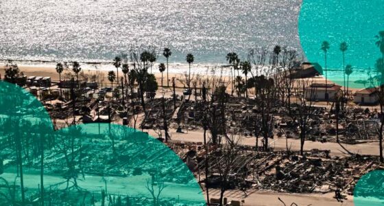 LA Wildfires to trigger record losses without immediate rating impact on (re)insurers