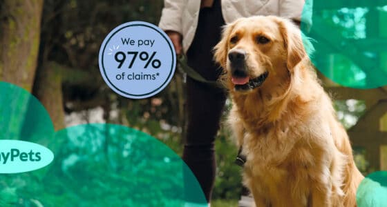 Insurtech ManyPets reports £33 mn loss for FY 2024