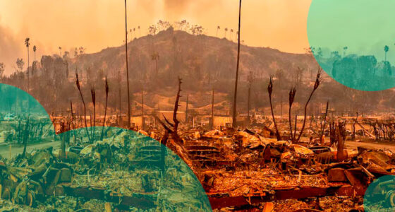 Insured losses from the Palisades & Eaton fires in LA estimated at $35-45 bn