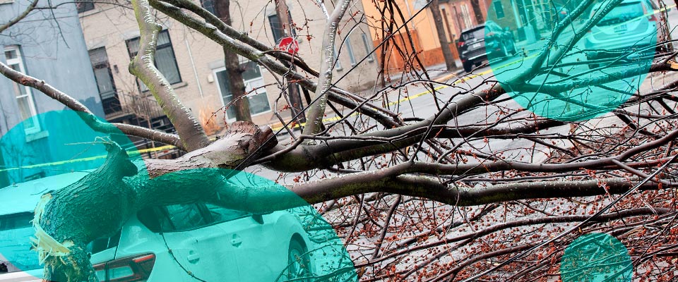 CatIQ estimates C$2.82 bn in insured losses from Ontario and Quebec flooding