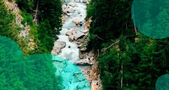 Natural ecosystems help shield coastlines from storms & reduce insured losses