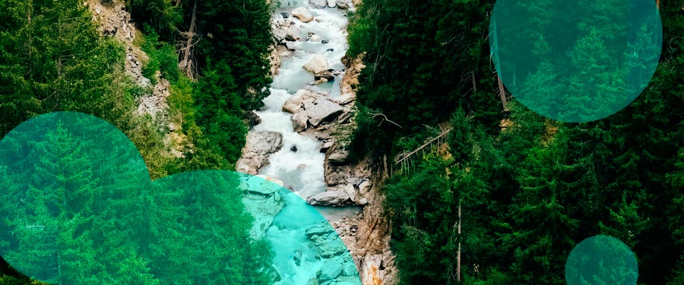 Natural ecosystems help shield coastlines from storms & reduce insured losses