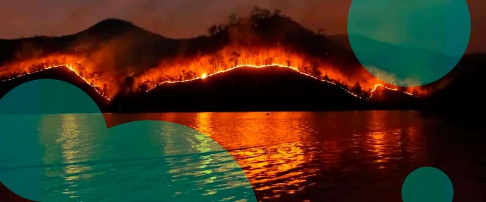 Hawaii Supreme Court limits insurers’ subrogation rights in Maui Wildfire settlements