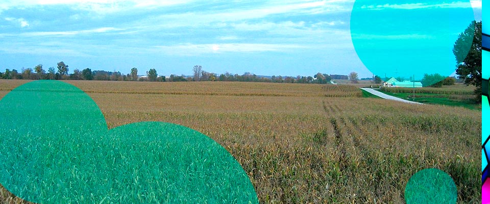 U.S. senators is urging the Federal Crop Insurance Corp. to create a parametric insurance policy