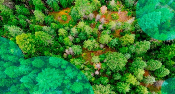 Insurance protection gap in Europe: only 25% of natural catastrophes losses were insured Insurance protection gap in Europe