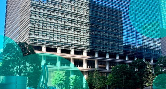 Japan Post Insurance increased net income in 2024