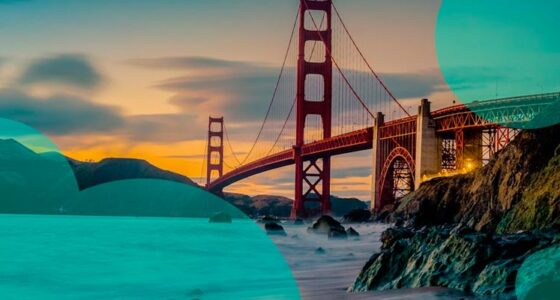 California Homeowners Insurance: 11-Year Underwriting Losses and Market Trends