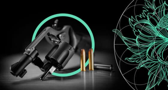 Mandatory Liability Insurance for Gun Owners in the United States