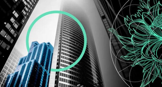 D&O Insurance Market Sees Strong Results but Faces Uncertainty