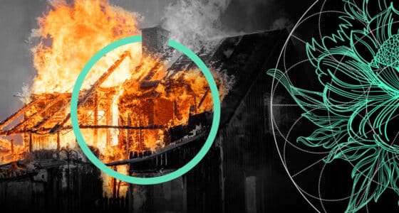 Natural Catastrophe Exposure Continues to Pressure P&C Insurance Results