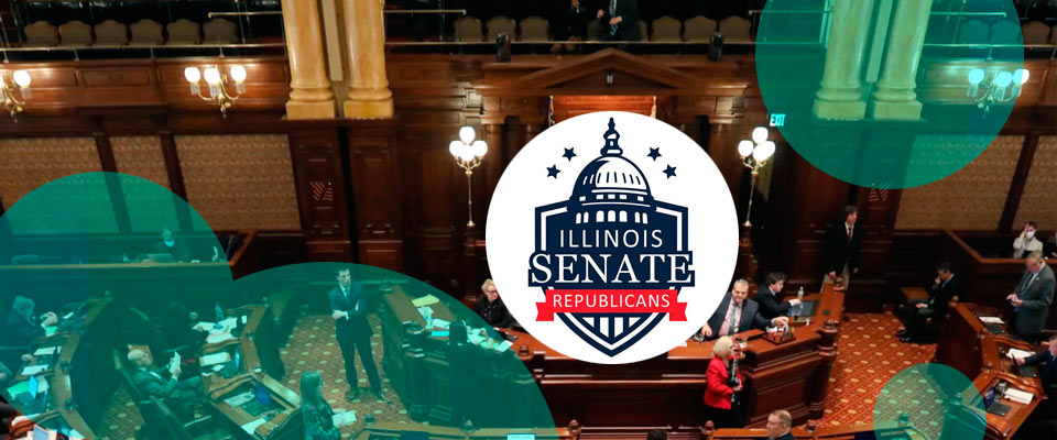 Illinois Senate considers study on insurance rating practices & potential disparities