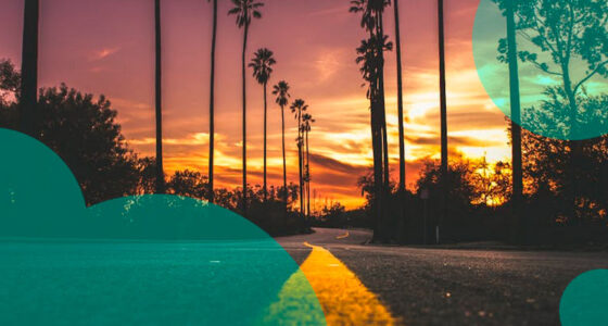 Insurance Policy Response in California