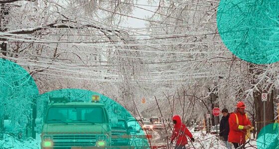 Ontario and Quebec ice storm caused C$342 mn in insured damage