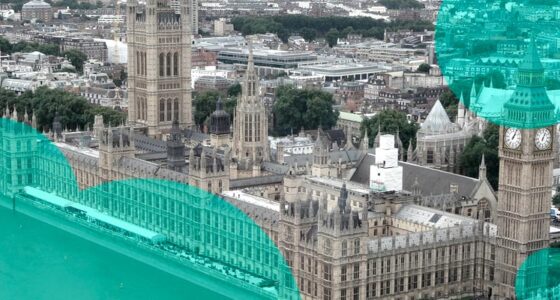 House of Lords Financial Services Regulation Committee
