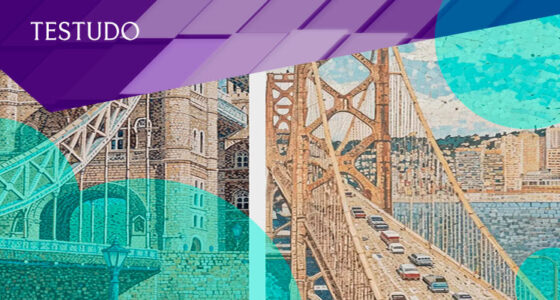 Insurtech Testudo launched a technology and data platform for underwriting
