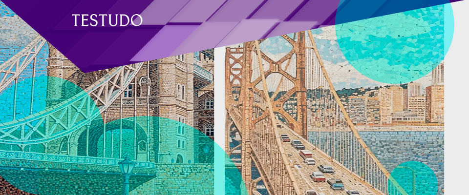 Insurtech Testudo launched a technology and data platform for underwriting