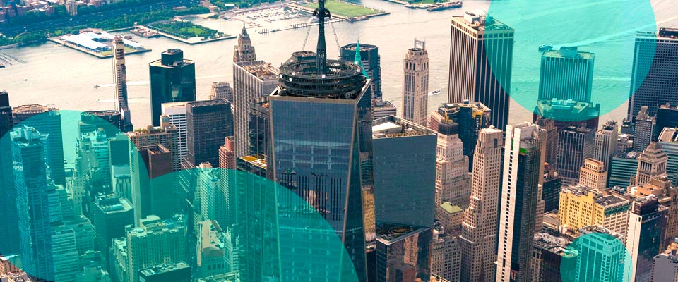 Sales Expectations for 2025 are Generally Optimistic
