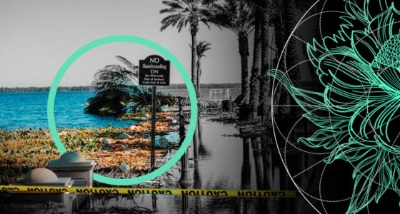 U.S. Private Flood Insurance Market Grows as Underinsurance Gap Narrows