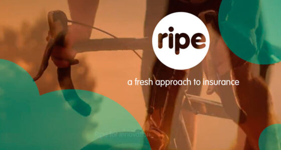 Digital insurance MGA Ripe reported its 17th straight year of double-digit growth