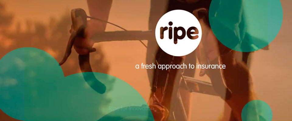 Digital insurance MGA Ripe reported its 17th straight year of double-digit growth