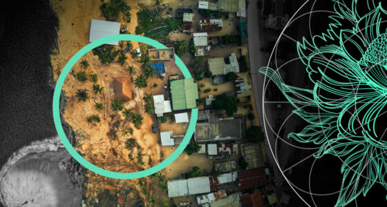 Global Natural Catastrophe Insured Losses Review. New Trends in H1 2025