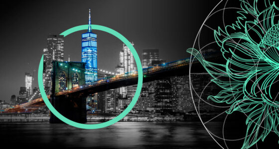 Proactive Insurance Claims Management. Trends in America, Europe, EMEA, Asia, LatAm