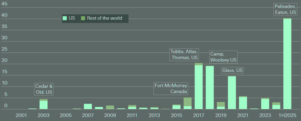 Global annual insured losses from wildfires