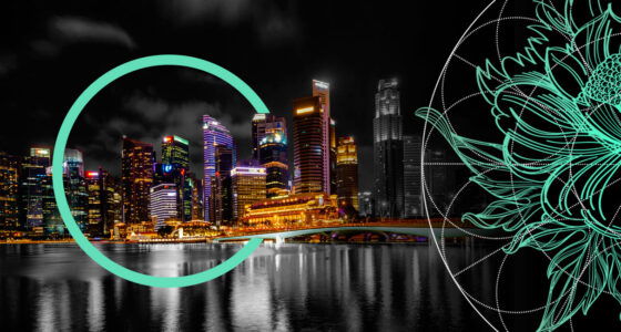 Largest Unicorn Startups in Singapore
