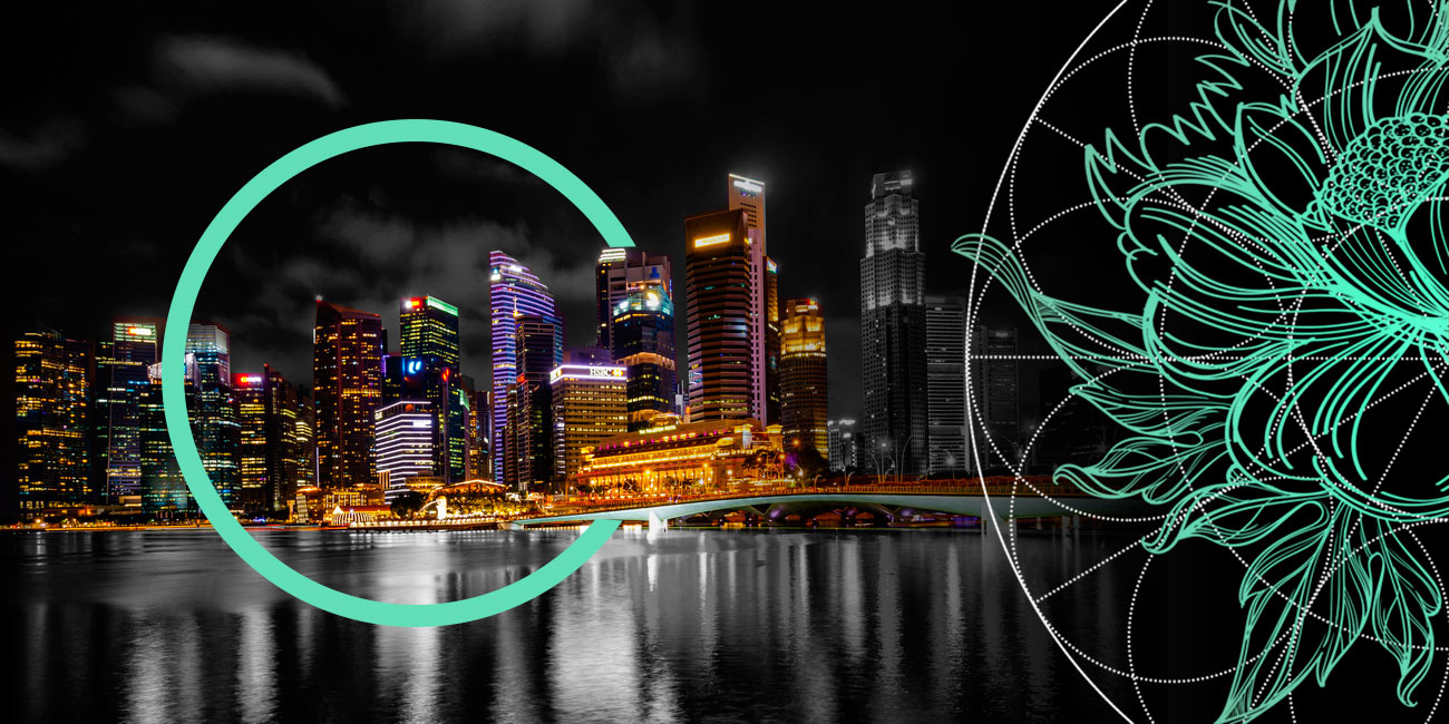 Largest Unicorn Startups in Singapore