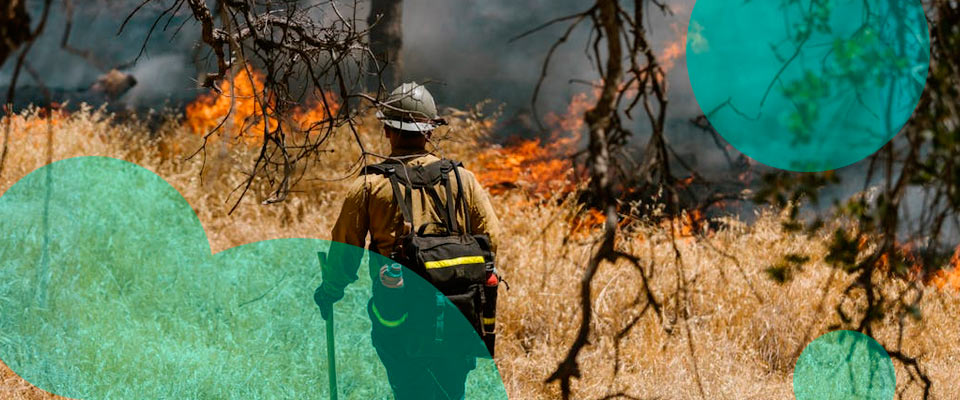 From Reaction Mode to Strategic Focus