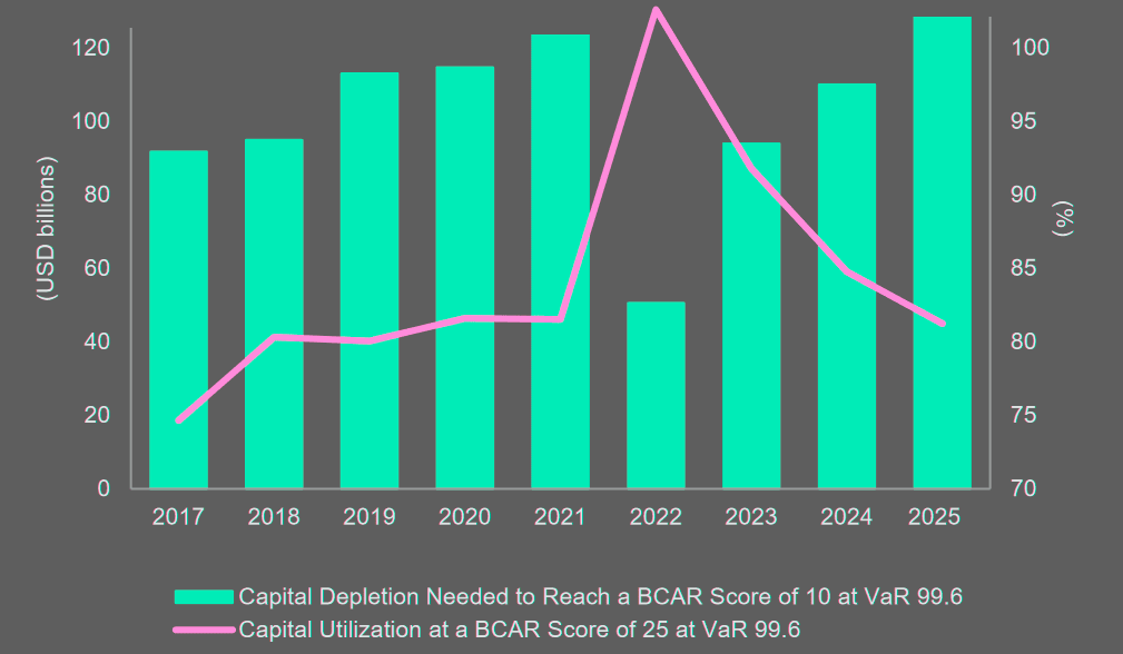 Required Reinsurance Capital Growth by Risk Factor