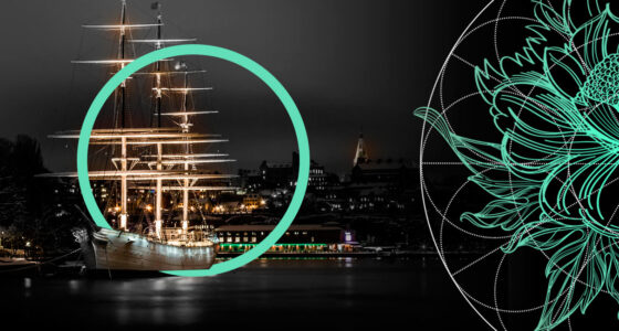 Largest Unicorn Startups in Sweden