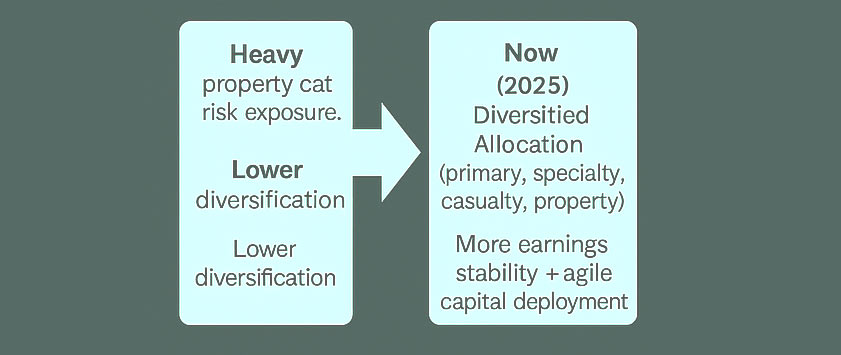 Reinsurance Strategic Shift (2018–2025)
