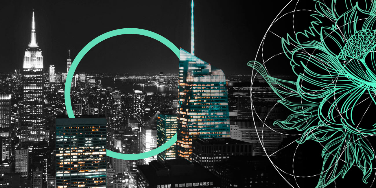 Largest Unicorn Startups in the United States