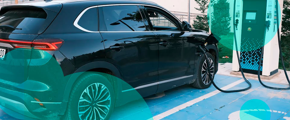 Insurers face mounting pressure amid slow EV adoption