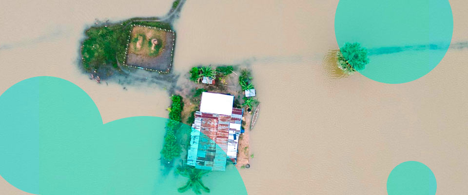 Insurers Cannot Ignore the Impact of Climate Change