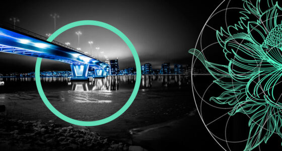 Largest Unicorn Startups in Finland