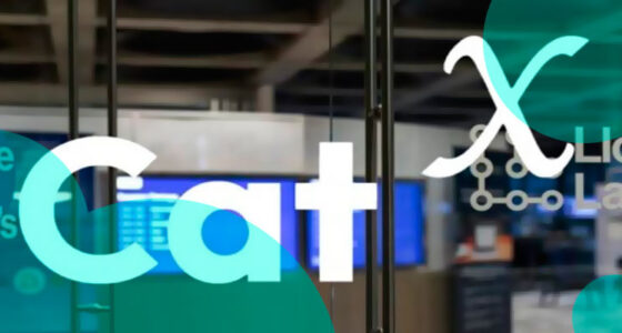 CatX and Cactus merge to form Bermuda’s biggest insurance software firm