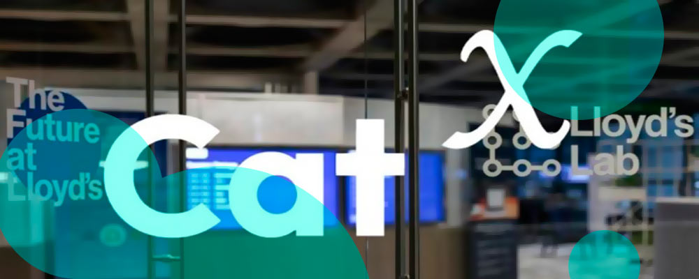 CatX and Cactus merge to form Bermuda’s biggest insurance software firm