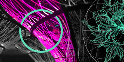 Insurance-Linked Securities Insights. ILS Market Hits $17 bn Issuance in H1 2025