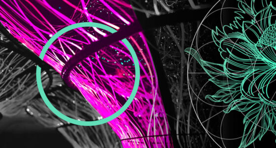 Insurance-Linked Securities Insights. ILS Market Hits $17 bn Issuance in H1 2025