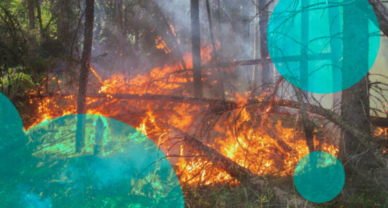Canada’s 2025 wildfire season ranks second worst on record