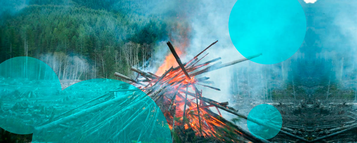 Newfoundland wildfire drives C$70 mn insured losses, biggest in Atlantic Canada 2025