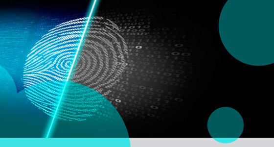 Invision Cyber launches U.S. cyber insurance with $10 mn limits, backed by Lloyd’s