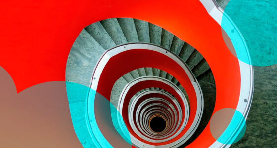 Fitch sees top global reinsurers sustaining strong P&C results in 2025