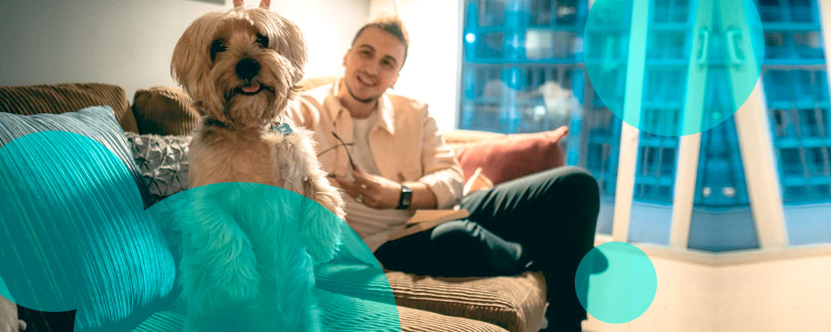 Florida Senate Bill 158 pushes stricter pet insurance disclosures & reporting rules