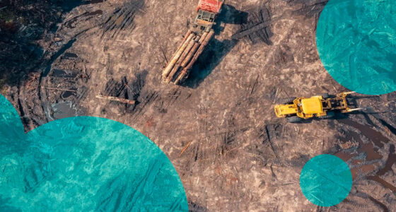 Munich Re warns climate losses strain major economies as risks escalate